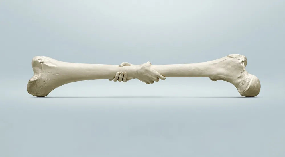 Bone health Tips to keep your bones healthy